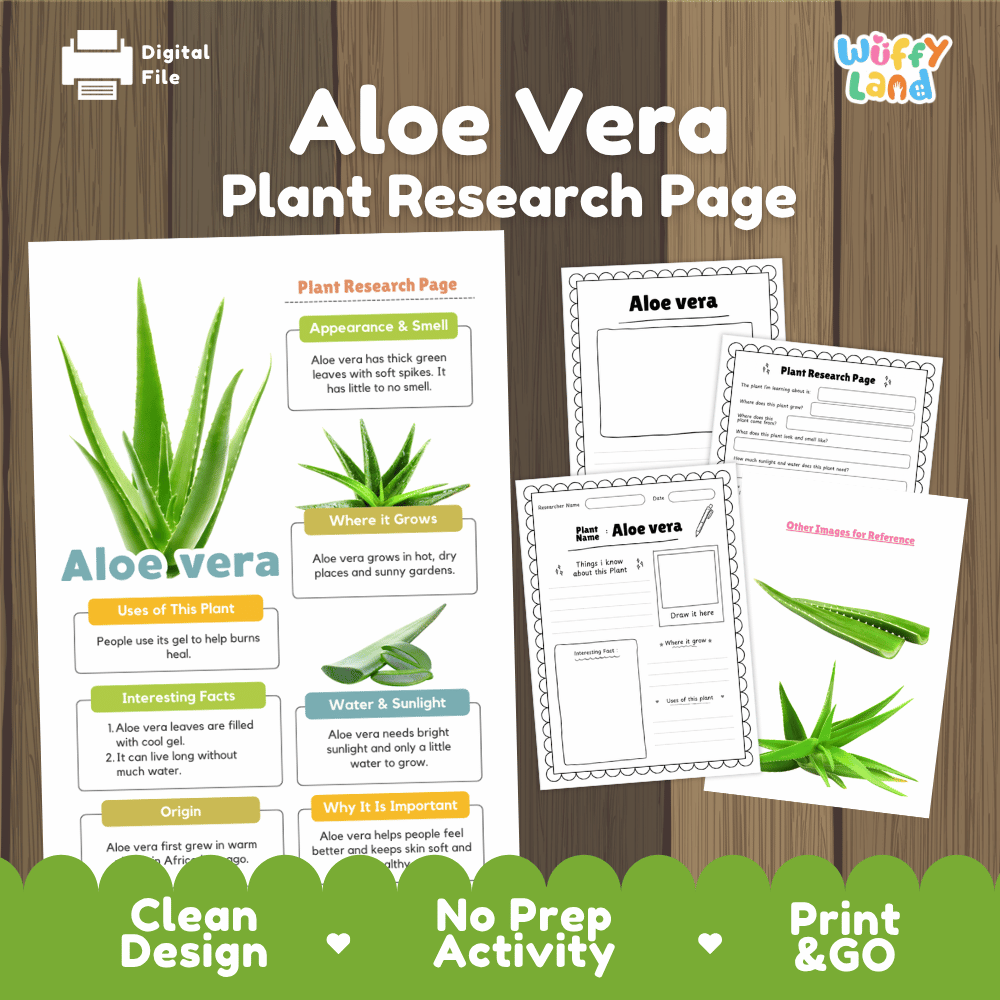 Aloe Vera Plant Research Page Worksheets