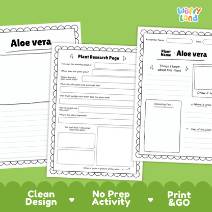 Aloe Vera Plant Research Page Worksheets