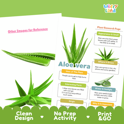 Aloe Vera Plant Research Page Worksheets