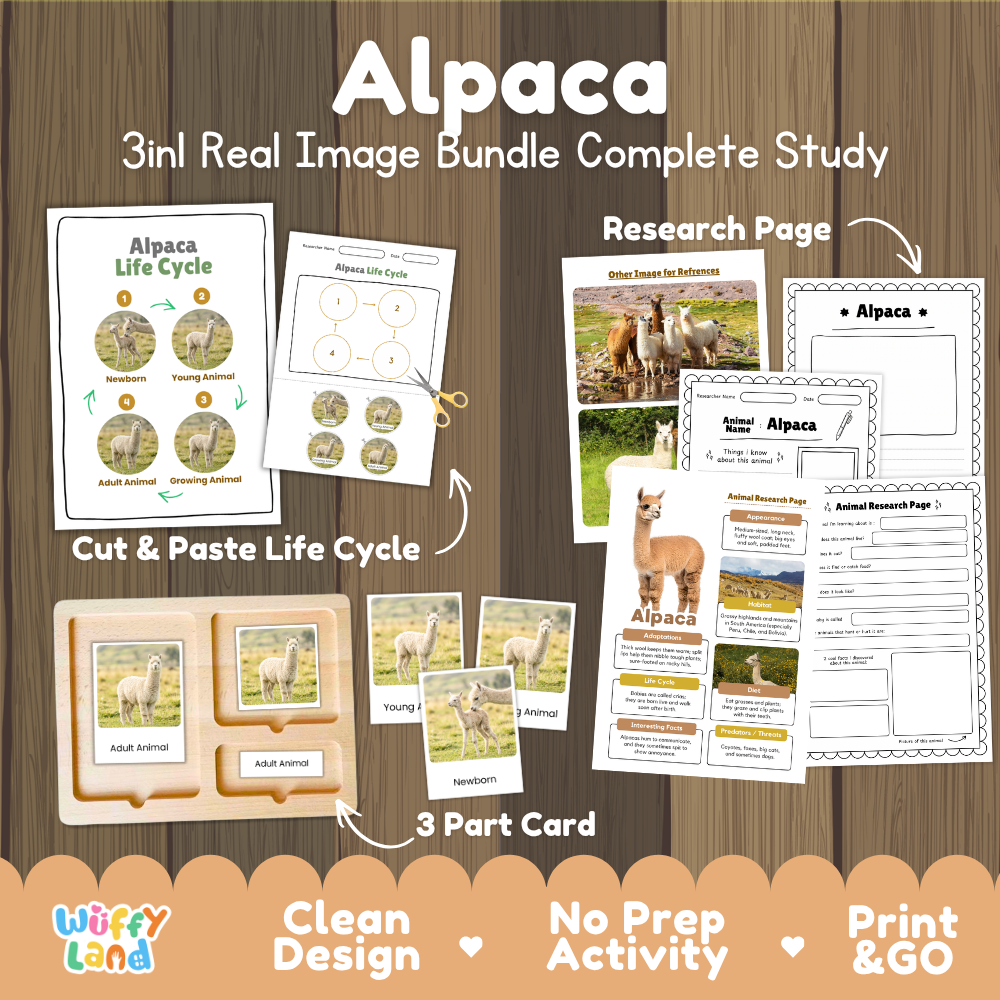 Alpaca 3-in-1 real image bundle complete study cover showing cut and paste life cycle, 3 part cards, and research pages