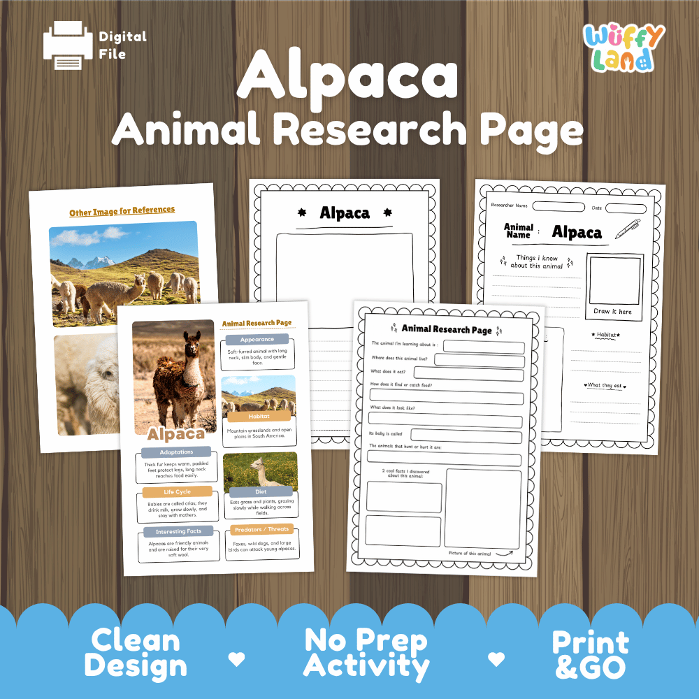 Alpaca Animal Research Page Worksheets