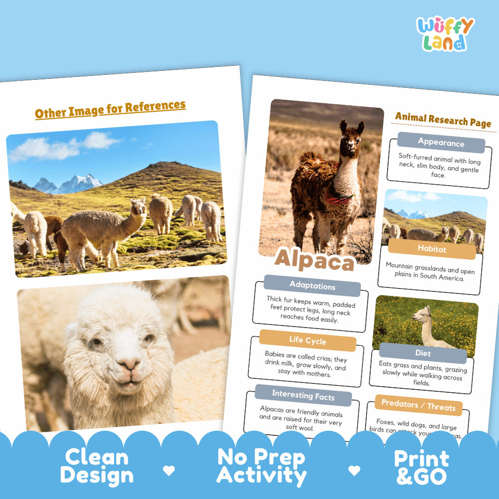Alpaca Animal Research Page Worksheets