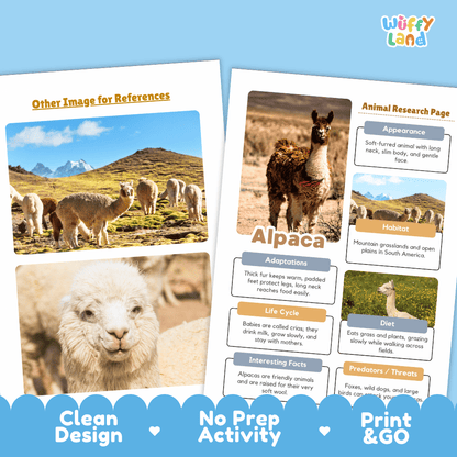 Alpaca Animal Research Page Worksheets