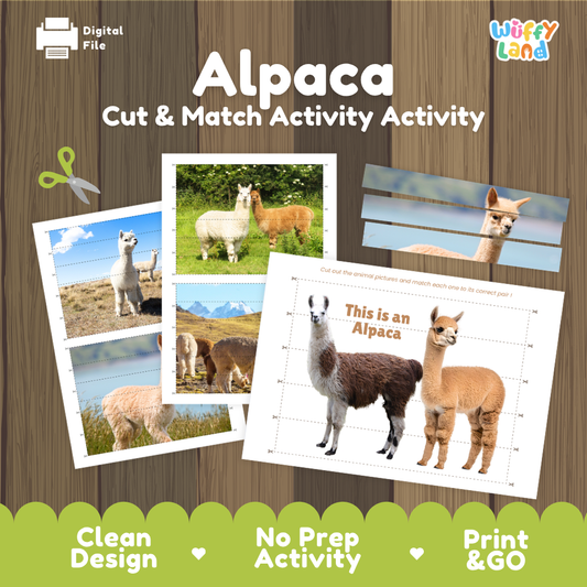 Digital cut and match activity sheet set about alpacas, featuring animal photos, worksheet pages, scissors icon, and a wood-textured background with the title 'Alpaca Cut & Match Activity' and the brand 'Wiffy Land'.