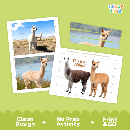 Activity sheet set featuring alpaca cut-and-paste pictures on a light green background. The sheets show alpaca photos with dotted cut lines and text reading 'This is an Alpaca.
