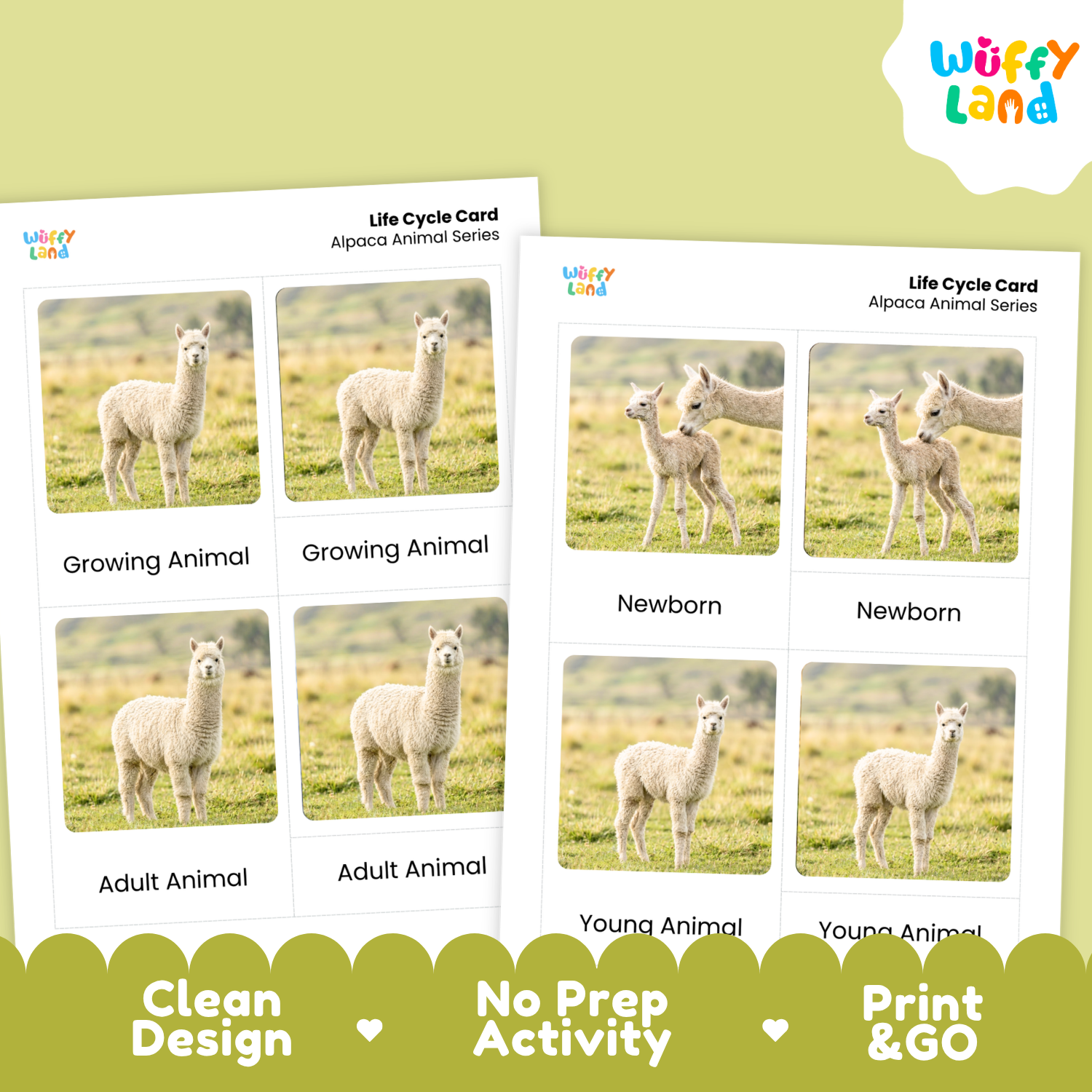 Two printable alpaca animal life cycle cards shown on a pale green background with a white logo badge and marketing text at the bottom. The cards show labeled photos of alpaca stages from newborn to adult, and the design includes the brand name Wüffy Land.