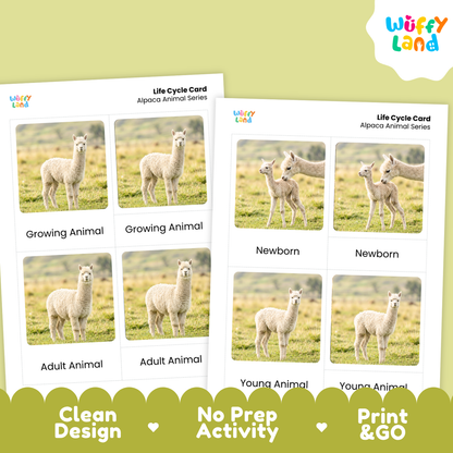 Two printable alpaca animal life cycle cards shown on a pale green background with a white logo badge and marketing text at the bottom. The cards show labeled photos of alpaca stages from newborn to adult, and the design includes the brand name Wüffy Land.