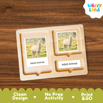 A wooden Montessori-style activity board with two labeled slots reading 'Adult Animal,' each holding a photo card of an alpacã. The board is shown on a wood-grain background, with a 'Wuffy Land' logo in the top right and a green banner at the bottom highlighting 'Clean Design,' 'No Prep Activity,' and 'Print & GO.