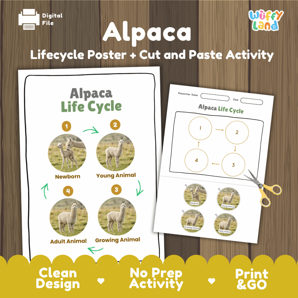 Alpaca Life Cycle Poster and Cut and Paste Activity Worksheets