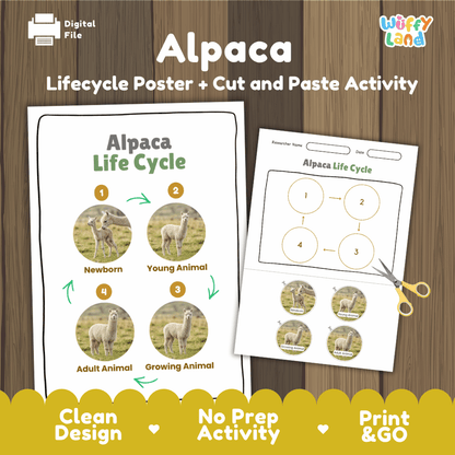 Alpaca Life Cycle Poster and Cut and Paste Activity Worksheets