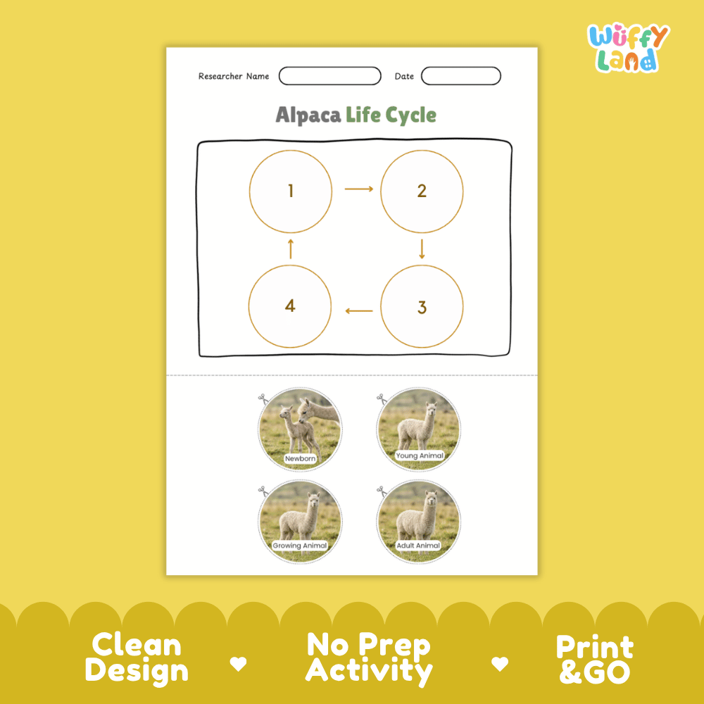 Alpaca Life Cycle Poster and Cut and Paste Activity Worksheets