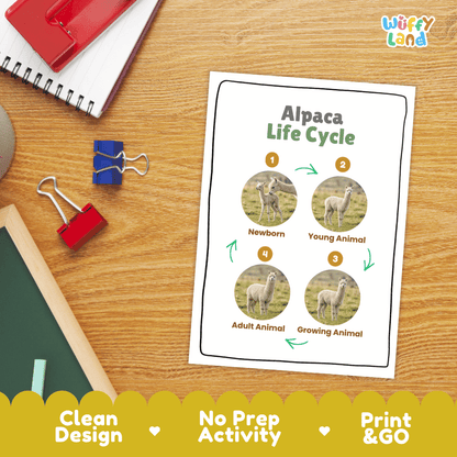 Alpaca Life Cycle Poster and Cut and Paste Activity Worksheets