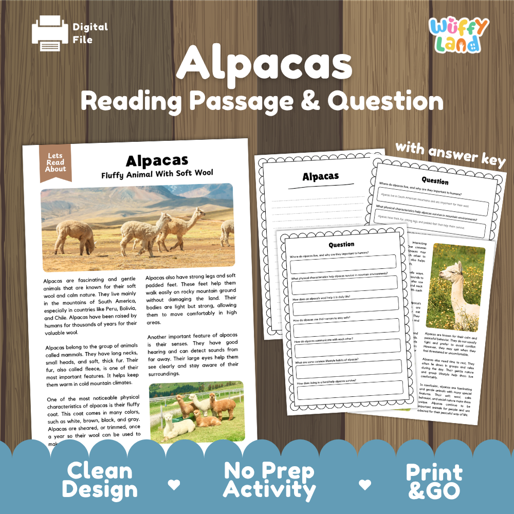 Alpacas Reading Passage and Comprehension Questions Worksheets