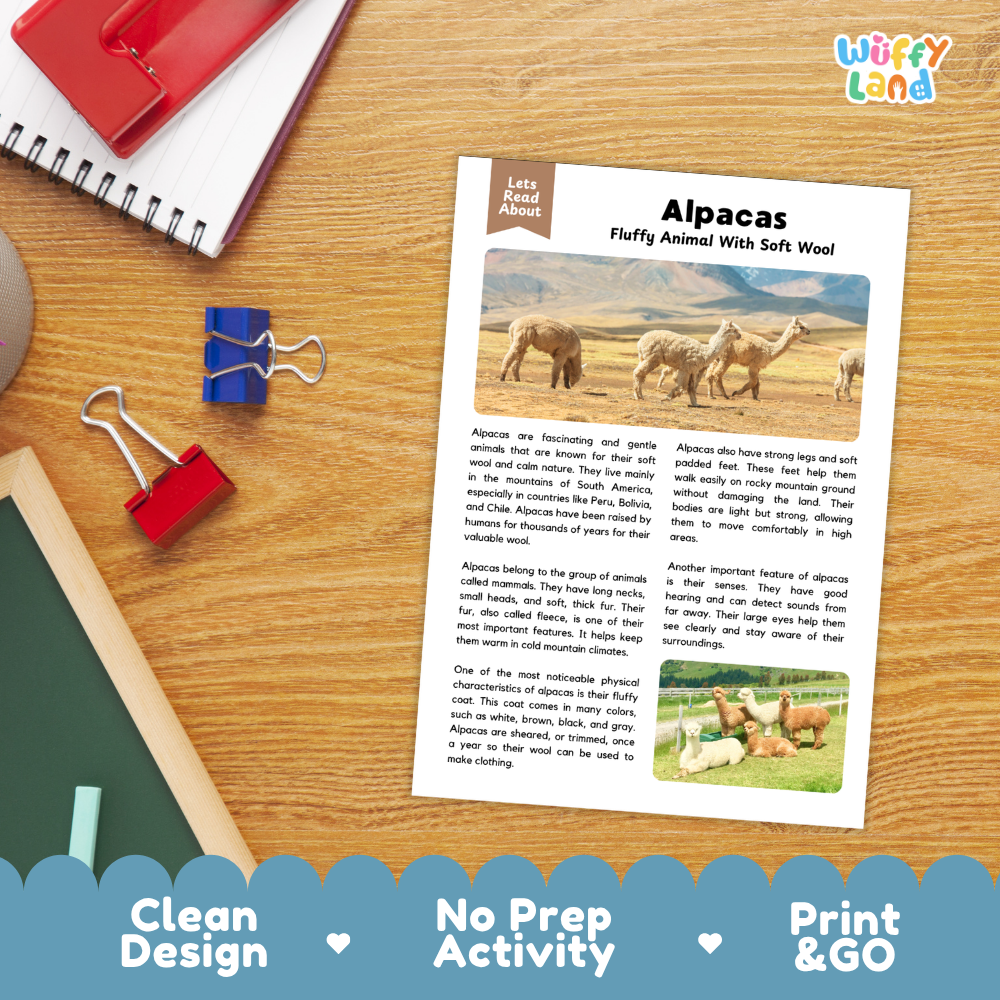 Alpacas Reading Passage and Comprehension Questions Worksheets