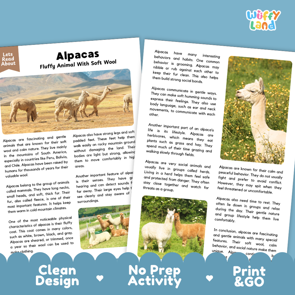 Alpacas Reading Passage and Comprehension Questions Worksheets
