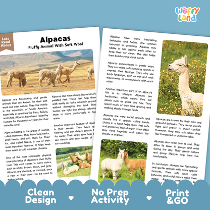 Alpacas Reading Passage and Comprehension Questions Worksheets