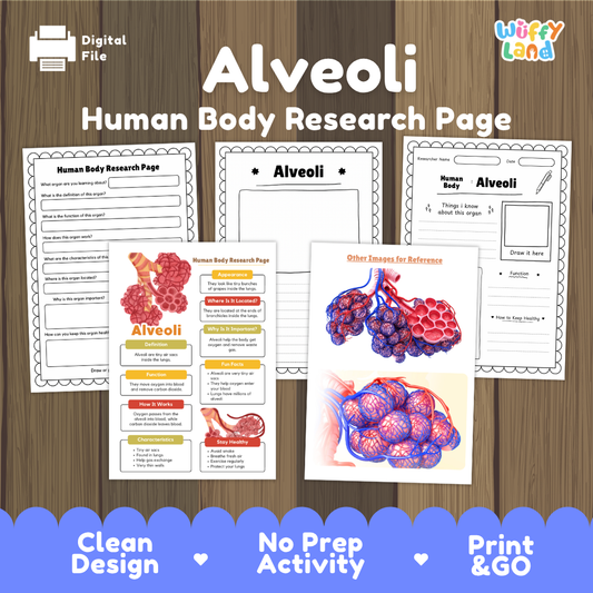 Alveoli Human Body Research Page Worksheets and Reference Sheets
