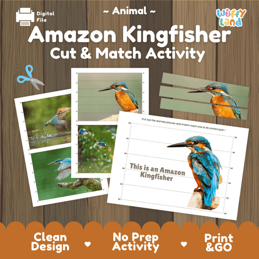 Amazon Kingfisher Cut and Match Activity Worksheets | Bird Animal Puzzle Printables