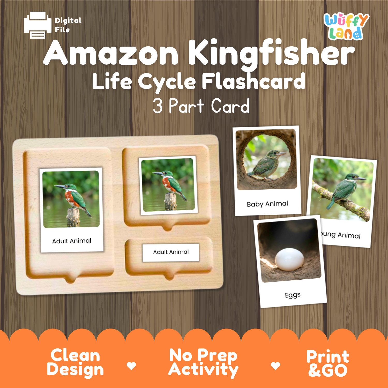 Amazon Kingfisher Life Cycle Flashcard set by Wiffy Land, featuring a wooden 3-part card tray with photos of adult, baby, and hatched animals, shown on a wood-grain background with promotional text.