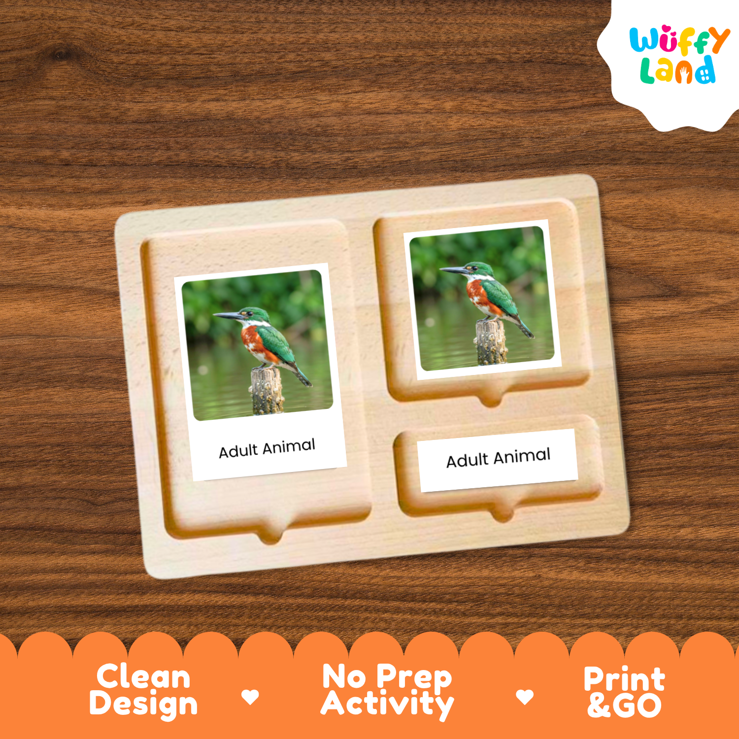A wooden activity board with two photo slots displaying bird images and labels reading 'Adult Animal,' shown on a wood-grain background. The Wuffy Land logo appears in the top right, and an orange banner at the bottom reads 'Clean Design,' 'No Prep Activity,' and 'Print & GO.