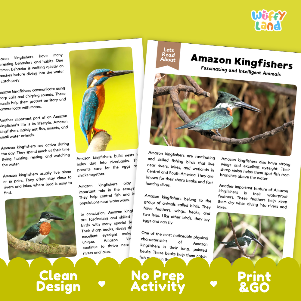 Two printed educational activity sheets about Amazon kingfishers, shown on a bright yellow background. The sheets include text such as 'Amazon Kingfishers' and 'Fascinating and Intelligent Animals,' plus a small inset photo of a kingfisher.
