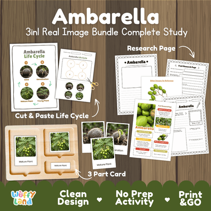 Complete Ambarella 3-in-1 real image study bundle featuring cut and paste worksheets, Montessori 3-part cards, and research pages 🍏🌱