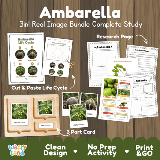 Complete Ambarella 3-in-1 real image study bundle featuring cut and paste worksheets, Montessori 3-part cards, and research pages 🍏🌱
