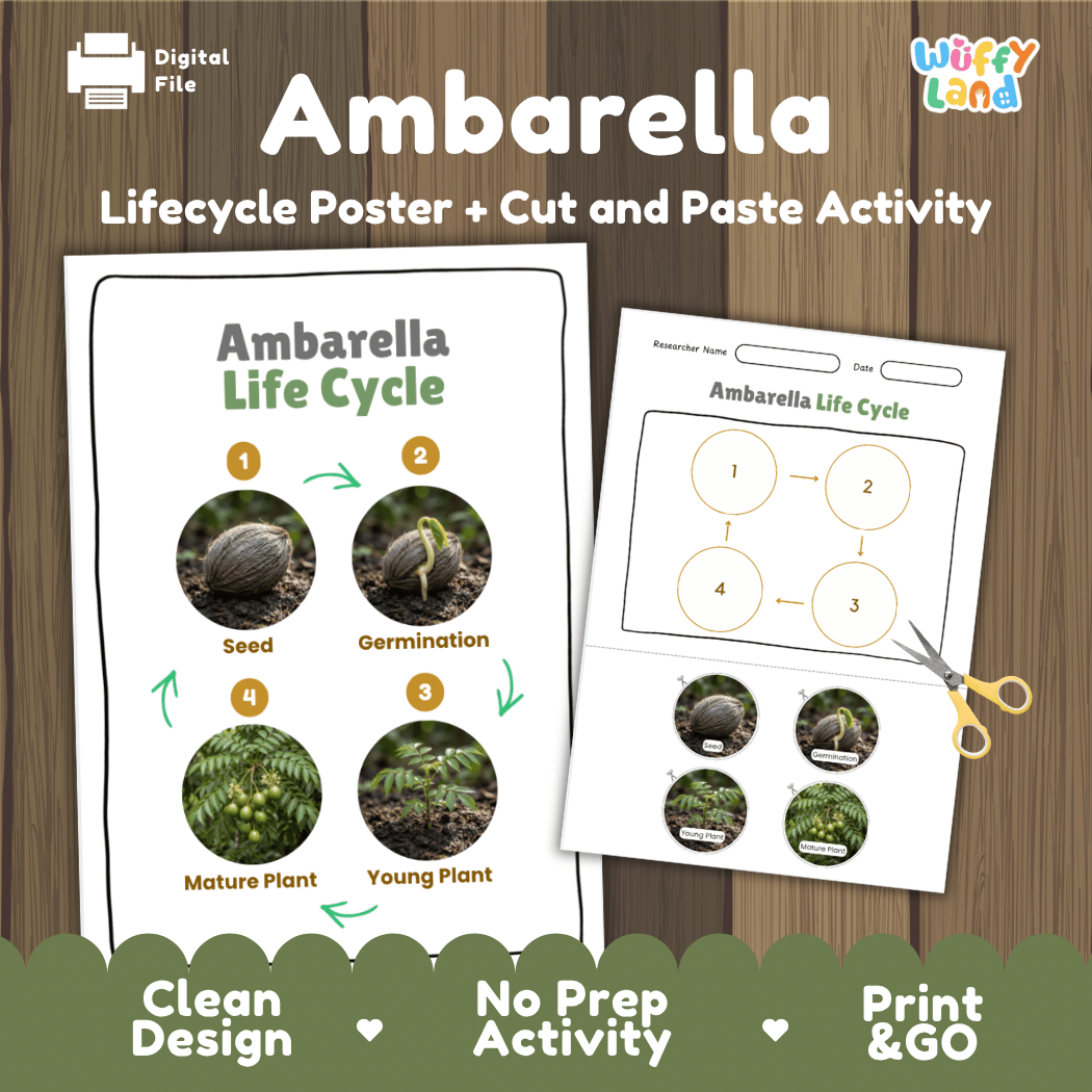 Ambarella plant life cycle educational poster and cut and paste printable sequencing activity featuring real photos for early science learners