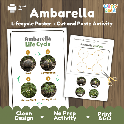 Ambarella plant life cycle educational poster and cut and paste printable sequencing activity featuring real photos for early science learners