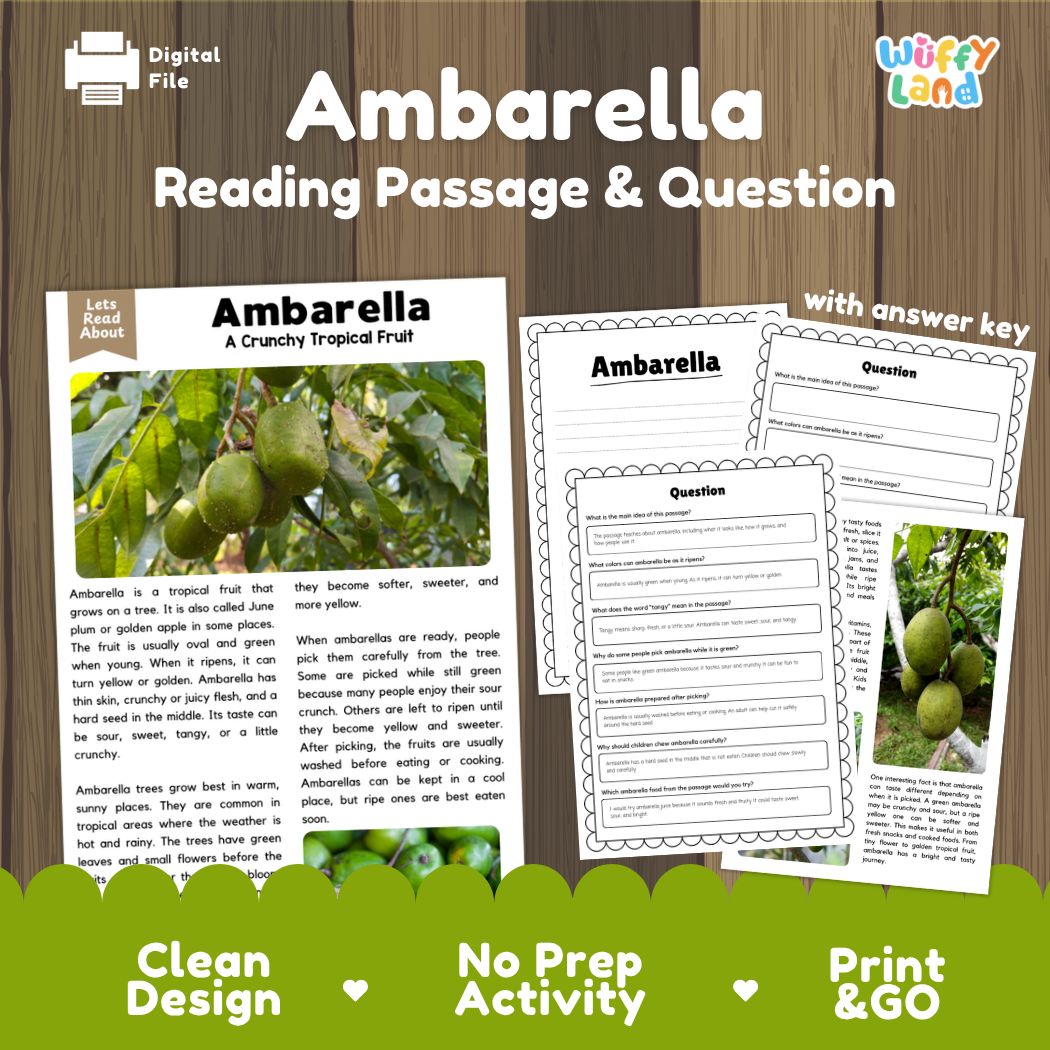 Ambarella reading comprehension passage and questions printable activity pack with answer key for elementary students