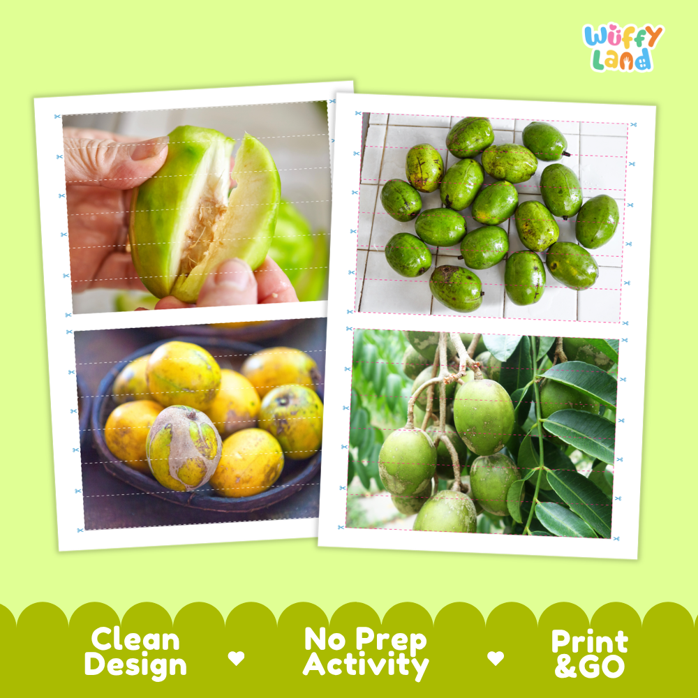 Printable activity sheets featuring photographic ambarella puzzle boards and cutting guides