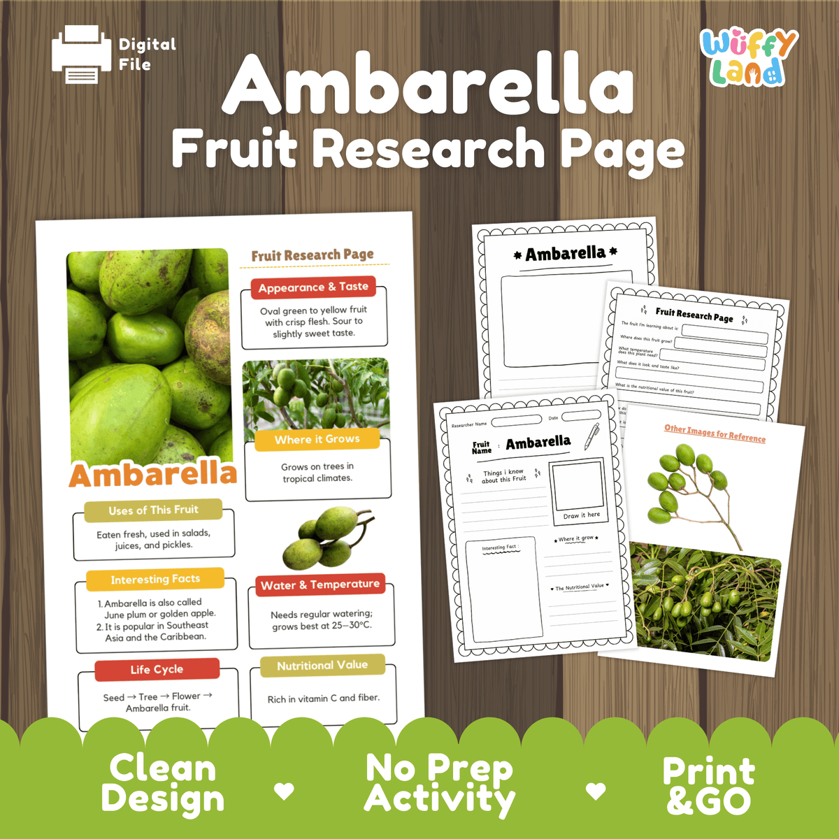 Student fruit research printable fact sheet detailing ambarella appearance, fibrous seed facts, tropical climate, and nutrition with real images 📝🔍