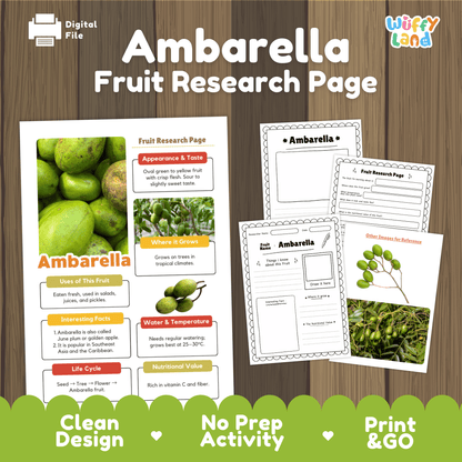 Student fruit research printable fact sheet detailing ambarella appearance, fibrous seed facts, tropical climate, and nutrition with real images 📝🔍