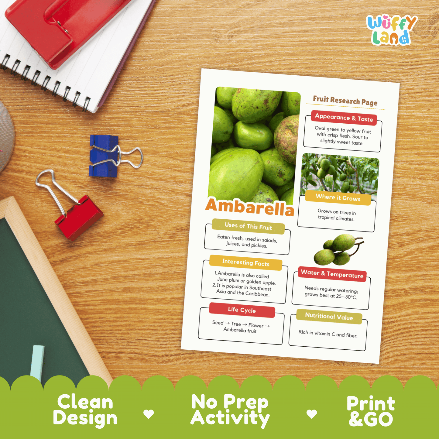 Ambarella Fruit Research Project | June Plum Science | Tropical Food Study