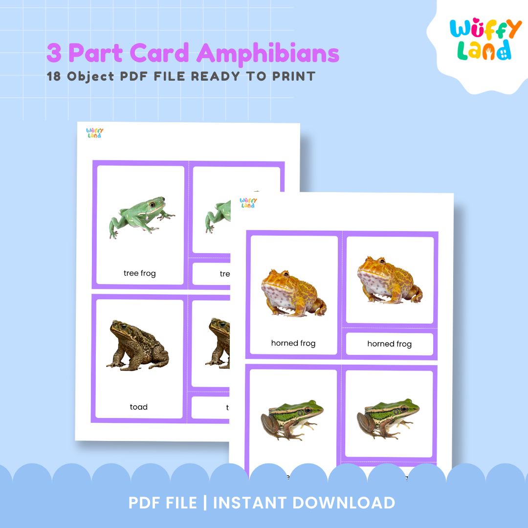 Printable amphibian classification activity for kids with realistic animal cards for science and zoology learning