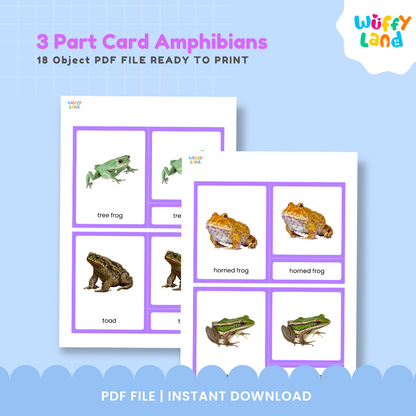 Printable amphibian classification activity for kids with realistic animal cards for science and zoology learning