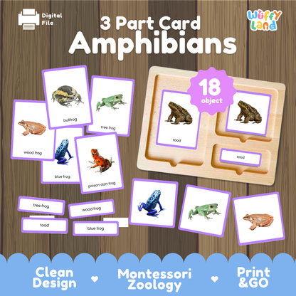 Amphibians 3 part cards Montessori printable featuring 18 amphibians with realistic pictures, word labels and matching cards