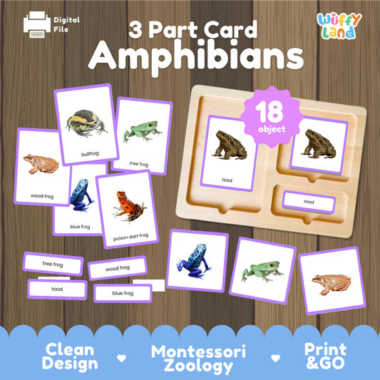 Amphibians 3 part cards Montessori printable featuring 18 amphibians with realistic pictures, word labels and matching cards
