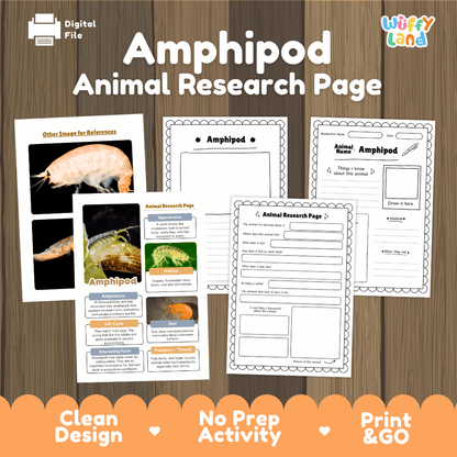 Amphipod Animal Research Page Worksheets