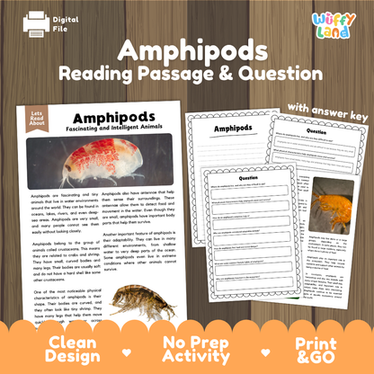 Amphipods Reading Passage and Comprehension Questions with Answer Key