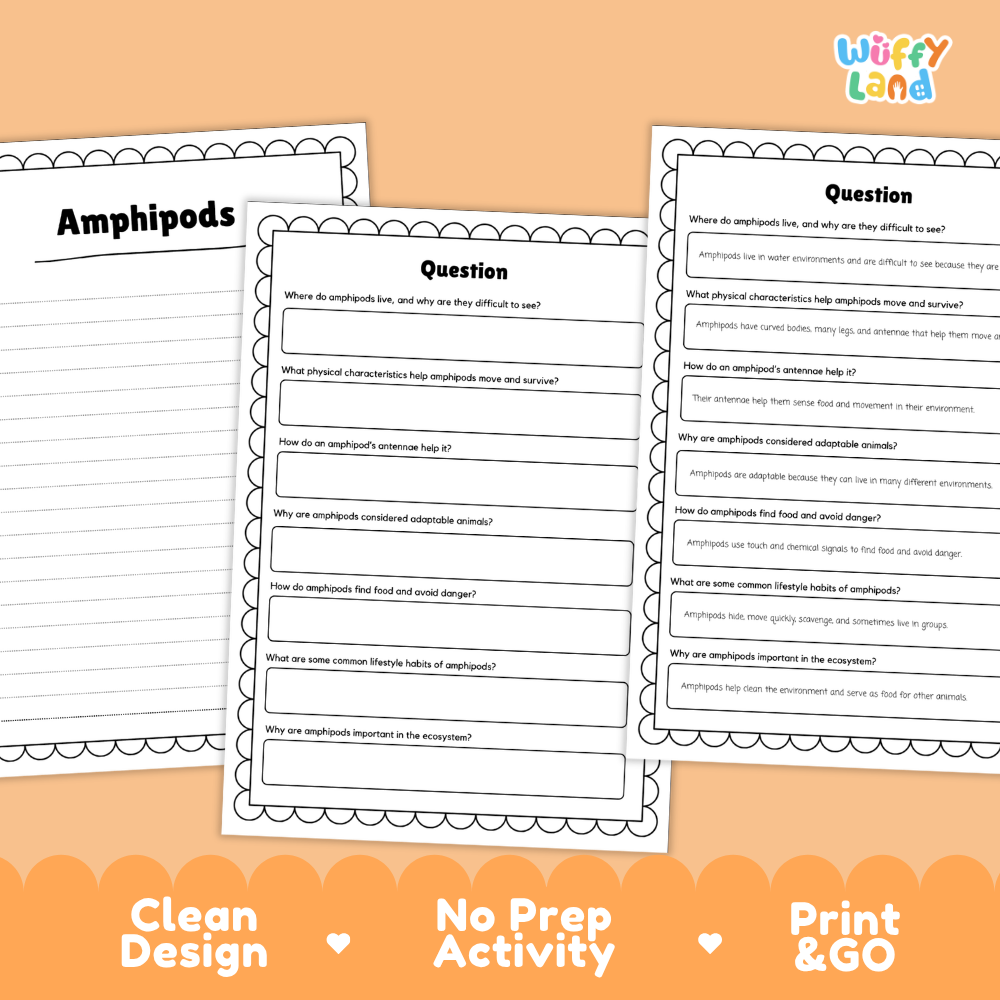 Amphipods Reading Passage and Comprehension Questions with Answer Key