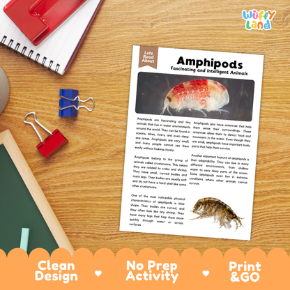 Amphipods Reading Passage and Comprehension Questions with Answer Key