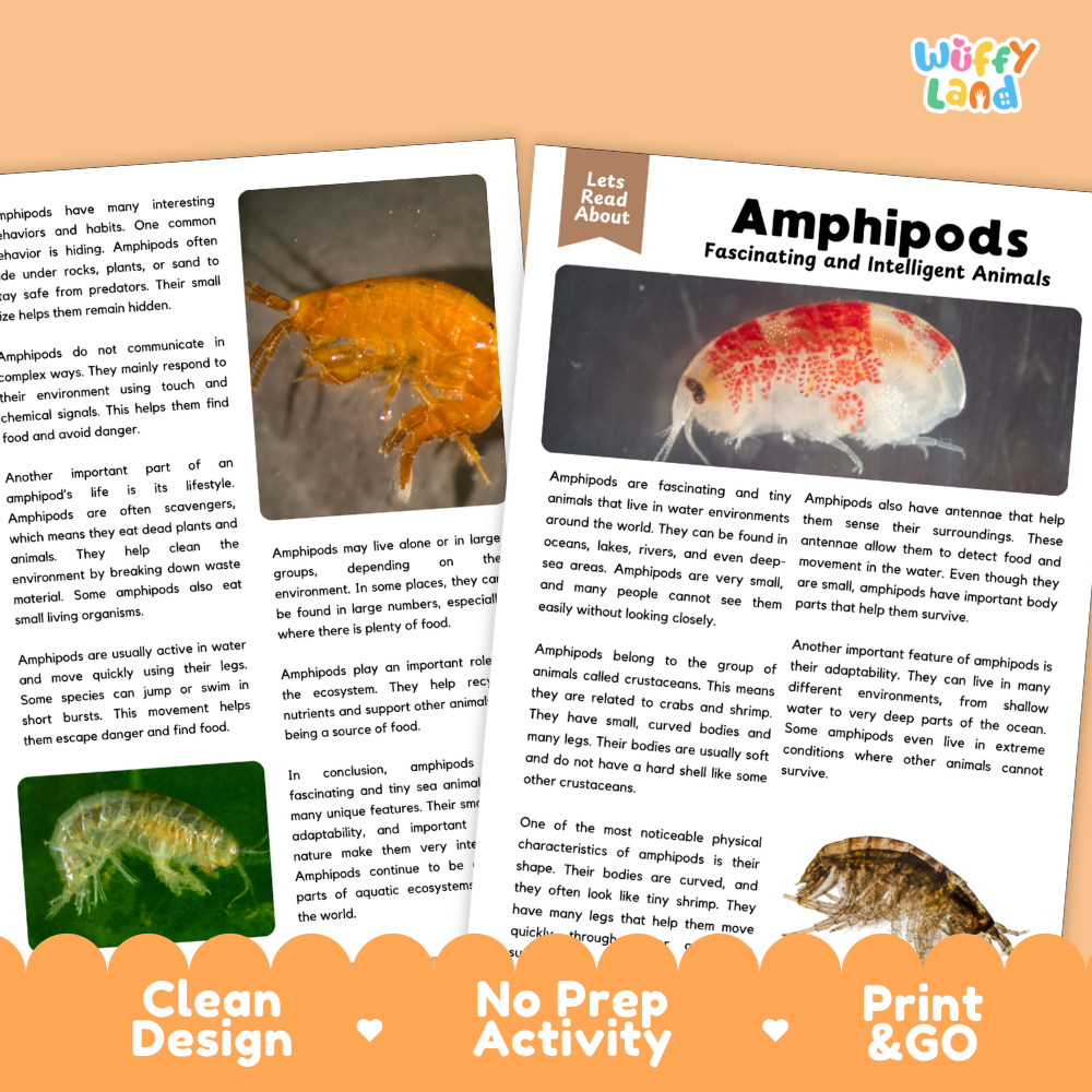 Amphipods Reading Passage and Comprehension Questions with Answer Key