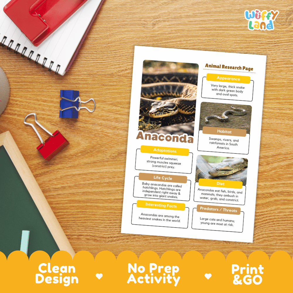 Anaconda Animal Research Project Worksheets and Activity