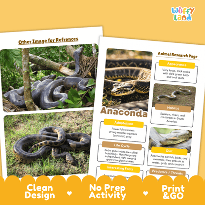 Anaconda Animal Research Project Worksheets and Activity