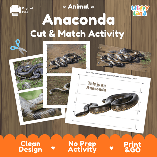 Anaconda Cut and Match Activity Worksheets | Reptile Animal Puzzle Printables