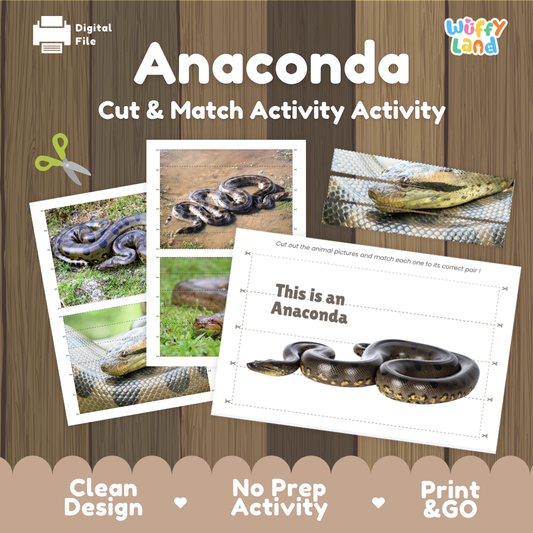 Anaconda cut and match activity sheet set by Wiffy Land, featuring animal photos and printed activity pages on a wood background with promotional text.