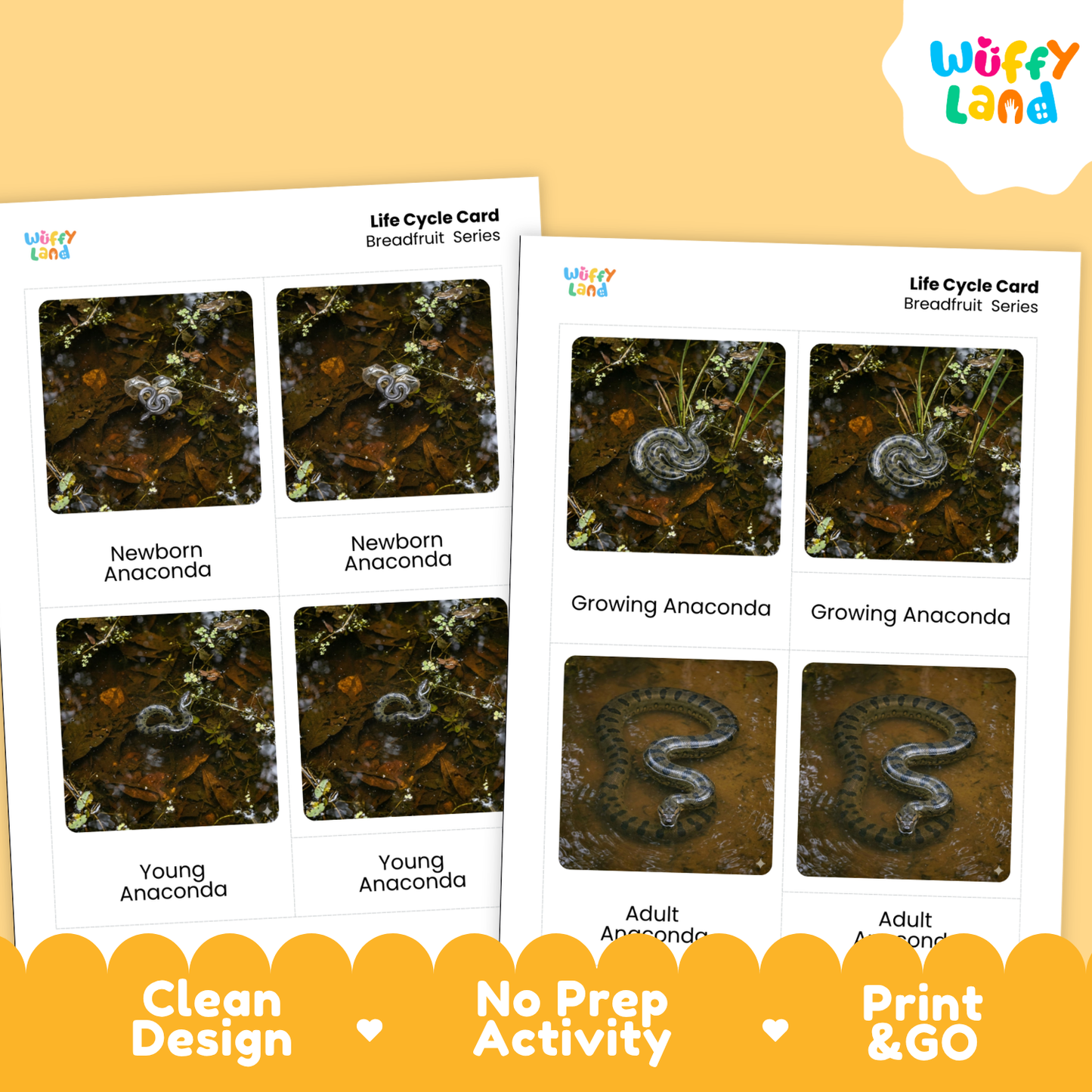 Two printed life cycle cards for a breadfruit series shown on a warm yellow background, with a white Wuffi Land logo in the top right and orange banner text at the bottom reading Clean Design, No Prep Activity, and Print & Go.
