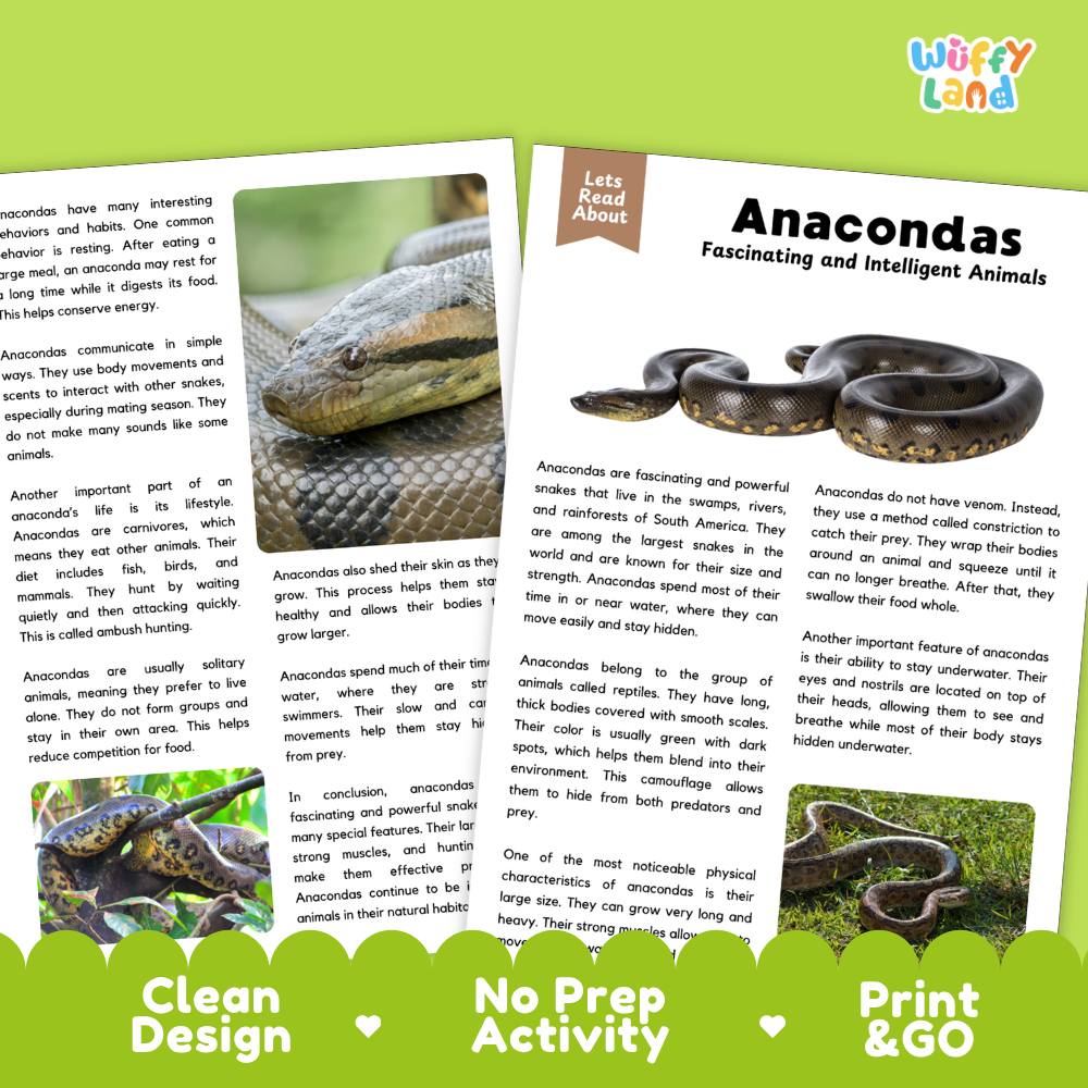 Anacondas Reading Passage and Comprehension Questions Worksheets with Answer Key