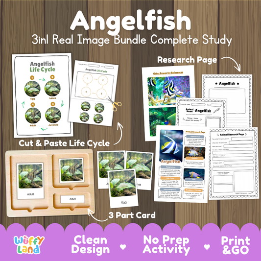Angelfish 3-in-1 real image bundle complete study cover showing cut and paste life cycle, 3 part cards, and research pages